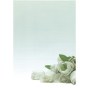 Papel A4 Temático Flor Branca APLI 90g (20 Folhas)